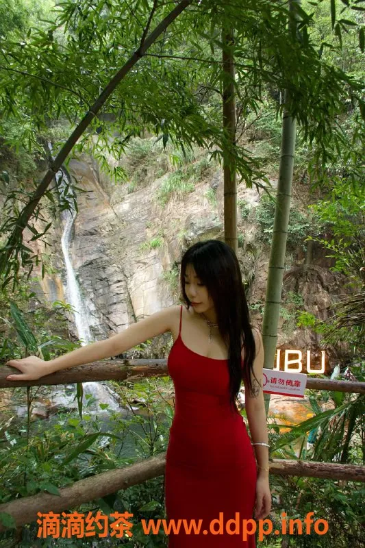 上海楼凤-普陀白兔，超值18pp服务，10张内仅需10元！