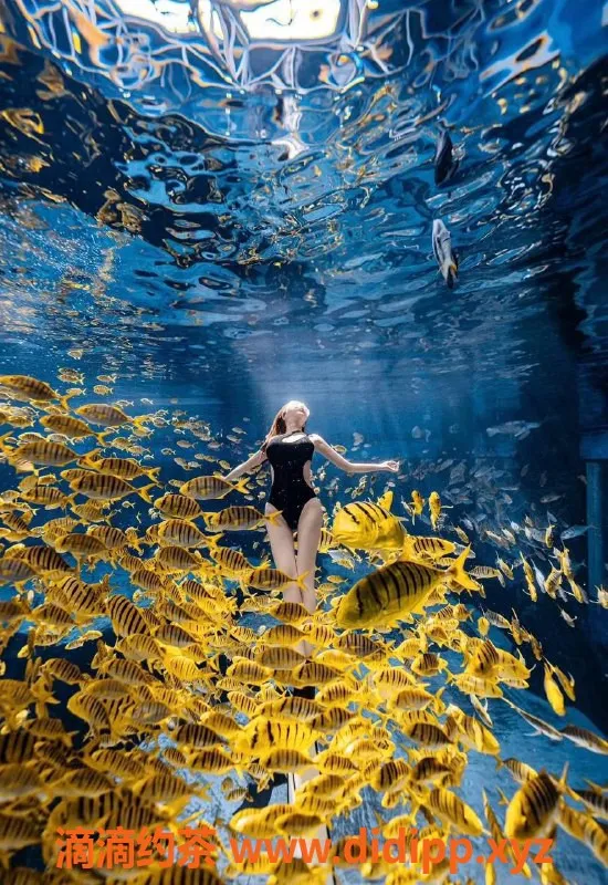 上海楼凤资源信息,普陀萌萌，174cm C罩杯，超值体验只需1000P