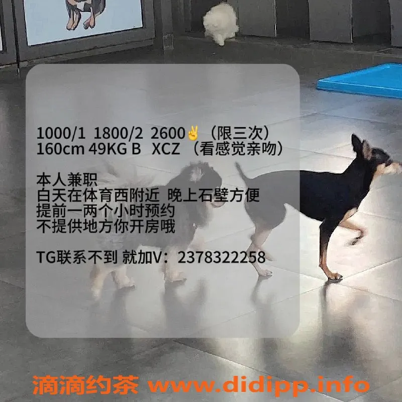 广州楼凤-天河菜菜 课费1000p，1800pp