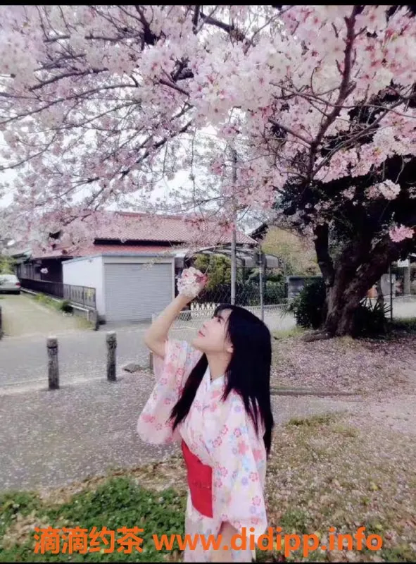 深圳楼凤-福田御姐山田优美，超大胸，开启你的樱花之旅！