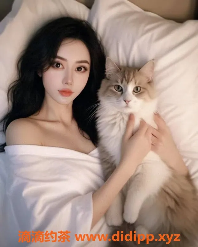 深圳楼凤-深圳福田鑫雅，1888元长腿大胸服务