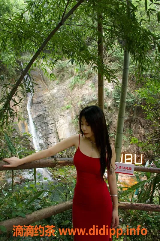 上海楼凤-普陀白兔艺名，10张内服务，价格实惠