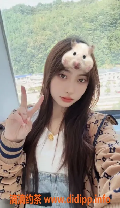 深圳楼凤资源信息,南山梓涵已验证，900元/1次超值体验