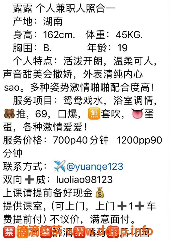 广州楼凤-天河露露69p御姐，700起步，视频验证