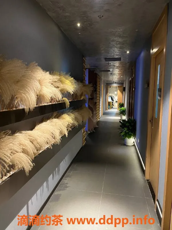 上海spa会所-黄浦乔治SPA全场特价499元，品质无敌