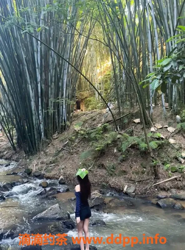 广州楼凤-黄埔御姐橙子，700元视频验证，服务超赞！