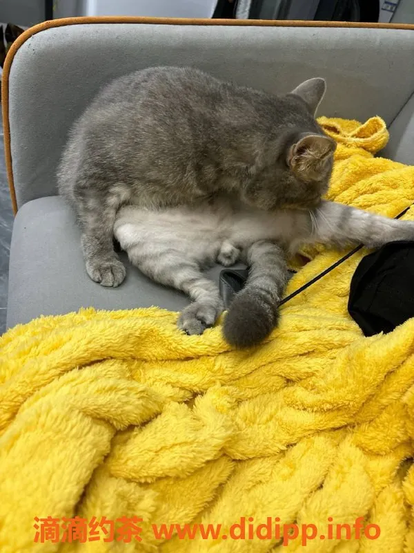 南宁楼凤-青秀区盲盒工兵系列，600元体验