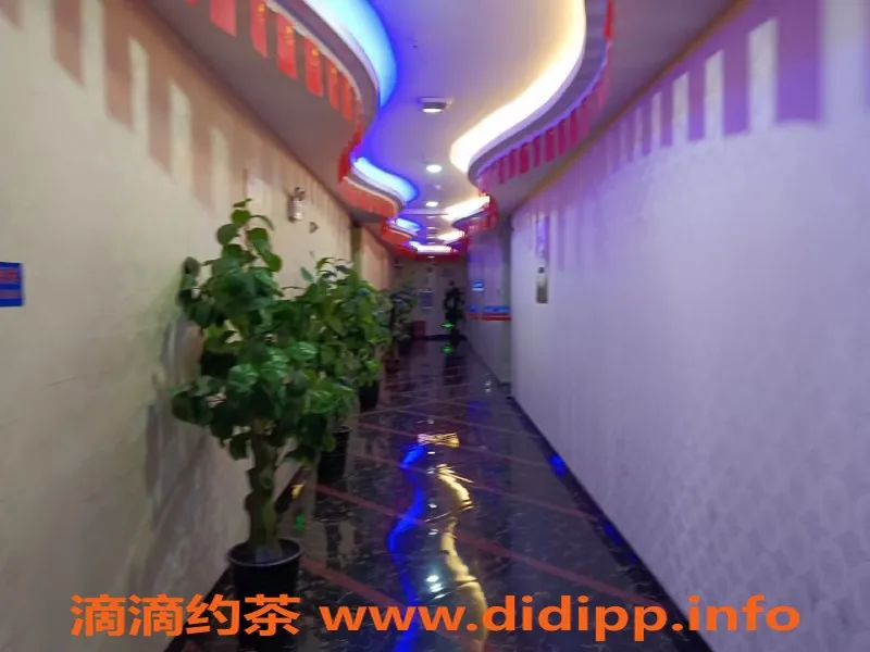 东莞楼凤-南城92，年纪偏大，服务超值