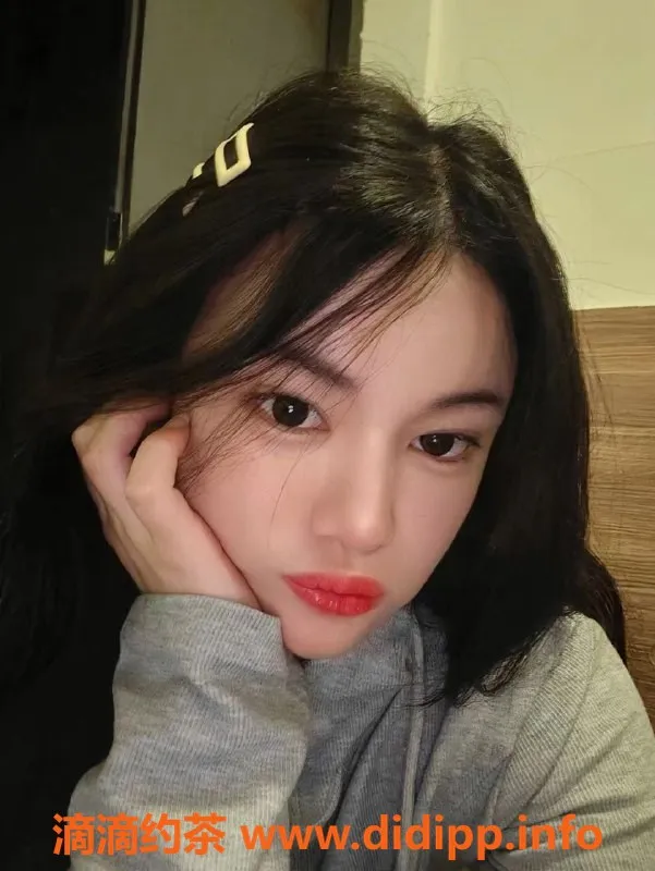 杭州楼凤资源信息,亲民猫猫—钱塘区域的灵动魅力