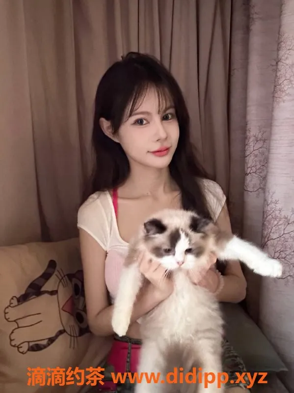 佛山楼凤-佛山禅城区小婉，700P、1300PP，超值享受