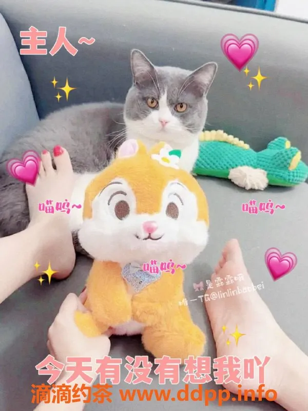 深圳楼凤-福田霖霖：3500p SM服务，尽享刺激快感