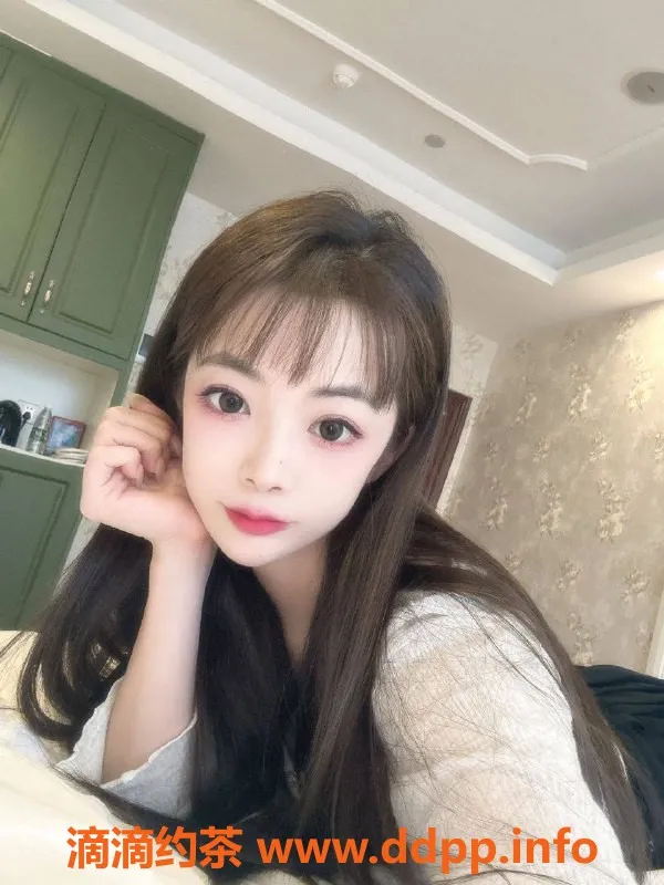 杭州上门服务-拱墅区可爱猫猫，上门服务仅1200元