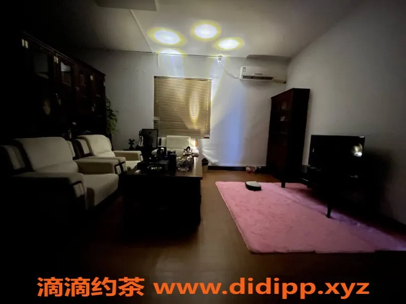 广州楼凤-天河公园可爱女奴，道歉服务仅438元