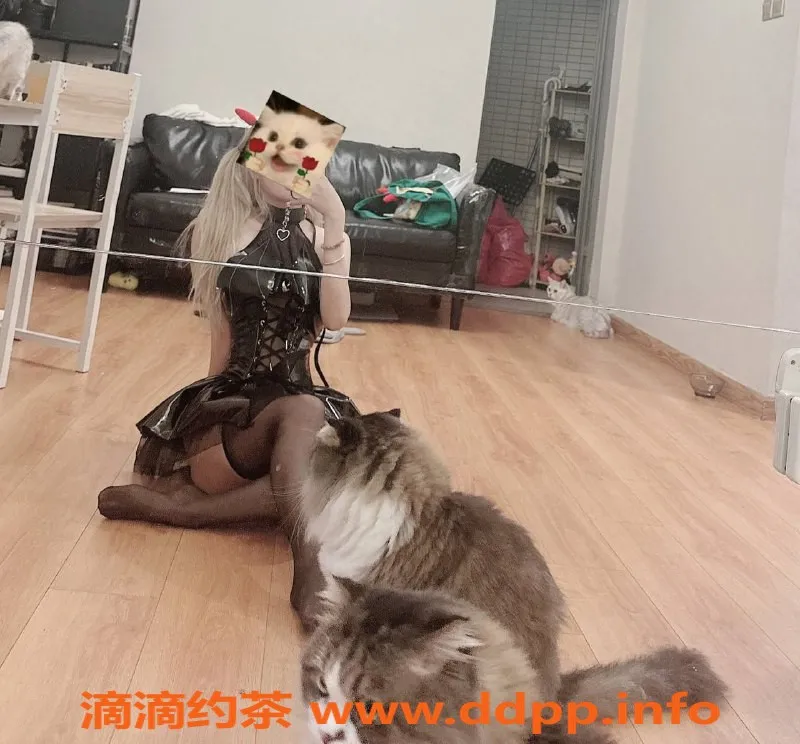 深圳楼凤资源信息,深圳福田萝莉丽丽，700元体验，153cm 82斤