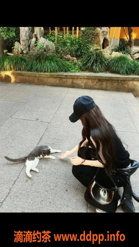 深圳楼凤资源信息,南山晚睛，850/次，已验证，服务体验极佳