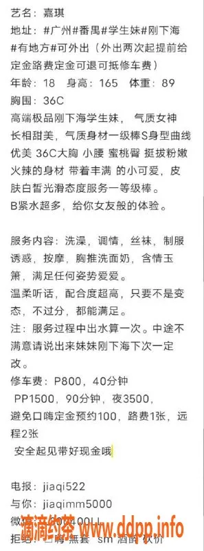 广州楼凤资源信息,番禺嫩妹嘉琪，800元体验真精彩