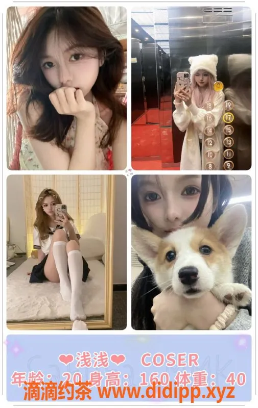 广州女仆店-广州MMK女仆恋爱体验，清纯美少女等你来约