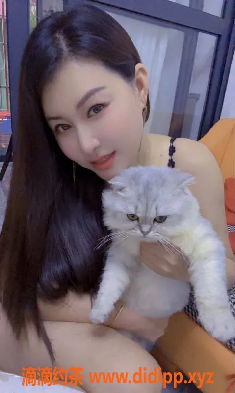 广州楼凤资源信息,天河丽丽，500元超值体验！