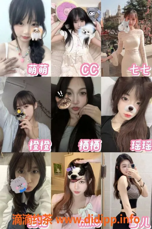 深圳楼凤资源信息,深圳南山&福田专属恋爱体验馆