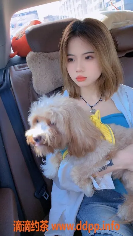 深圳楼凤资源信息,宝安粥粥 162cm B罩杯 清新脱俗 800起