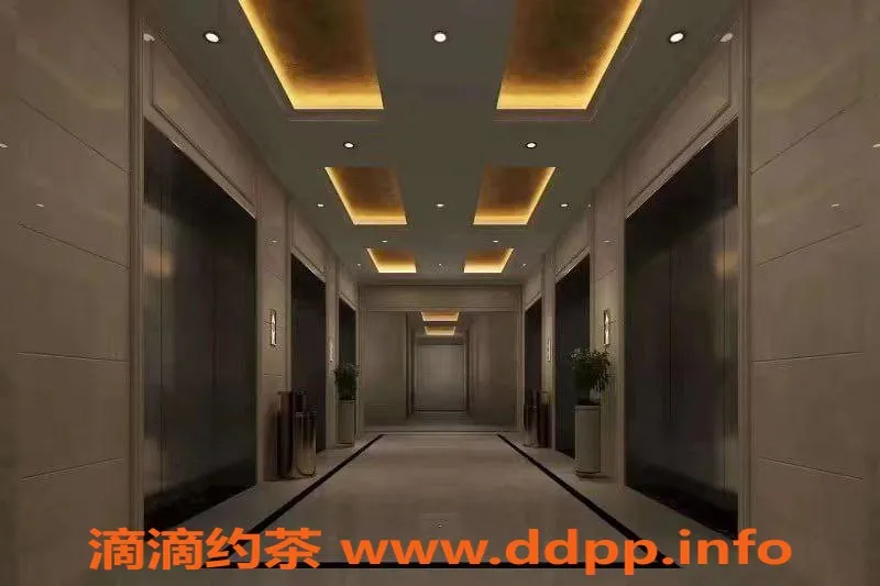 深圳楼凤-罗湖92极品小姐，服务优质体验极佳