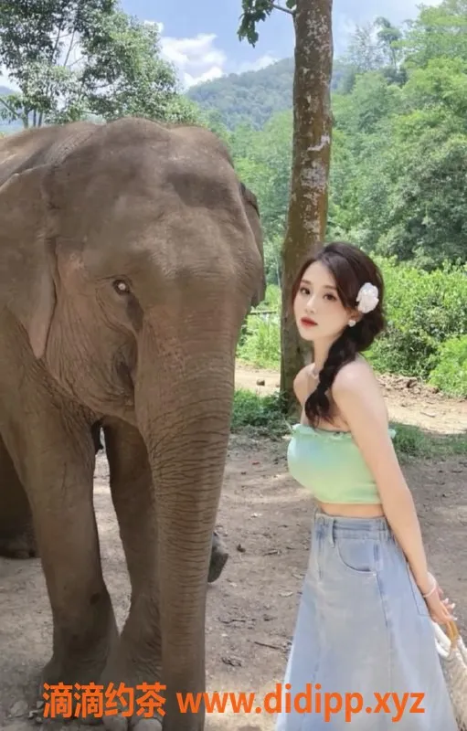 广州楼凤-佛山英子，御姐大胸，超值8P服务