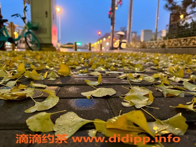 武汉上门服务-洪山昙花 165身高 D罩杯 性感女友系 500元起