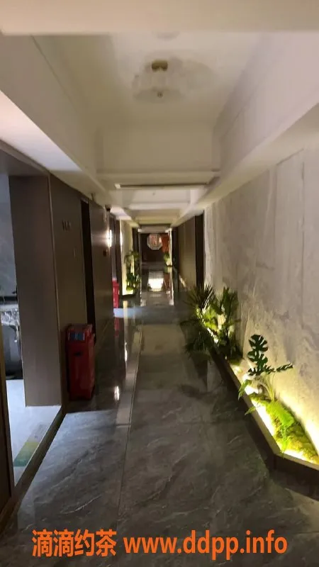 广州spa会所-荔湾区95会所，奢华随心，超值服务