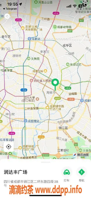 成都楼凤资源信息,锦江区嫩妹乐儿，166cm/59kg，600p起代聊服务