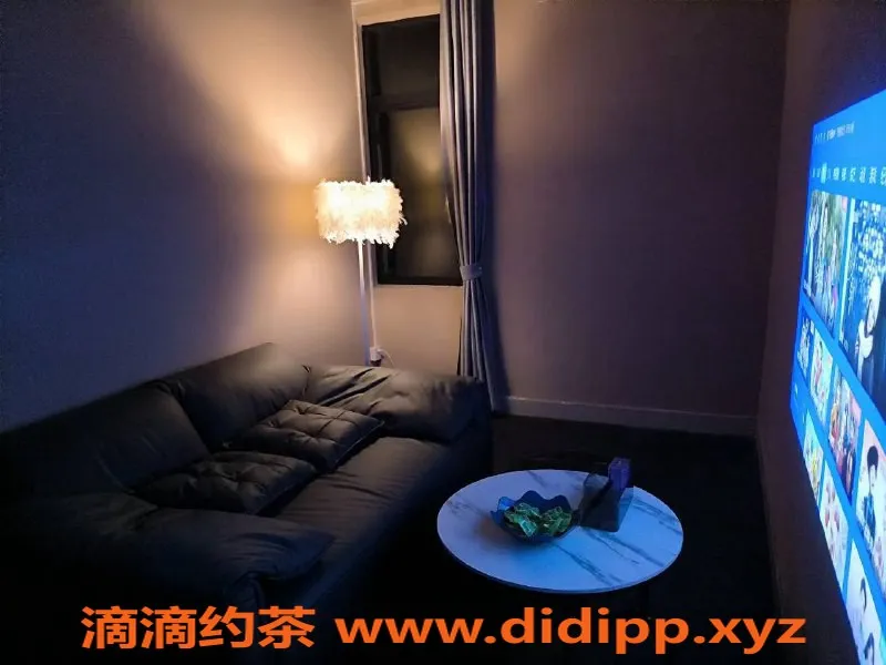 广州女仆店-广州MMK助教 SS级468元/小时 双层隔音体验