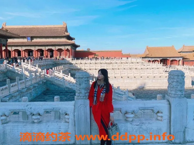 广州楼凤资源信息,广州天河赵鑫妤，800起热情服务