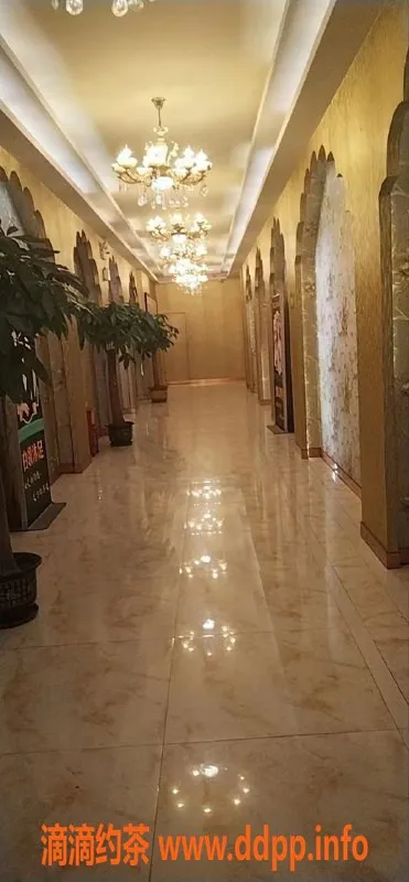 佛山spa会所-祖庙小鱼丝足服务，预定只需388