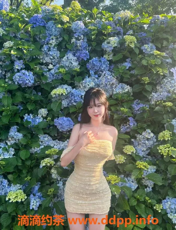 宁波女仆店-甜甜喵女仆馆，尽享温馨服务