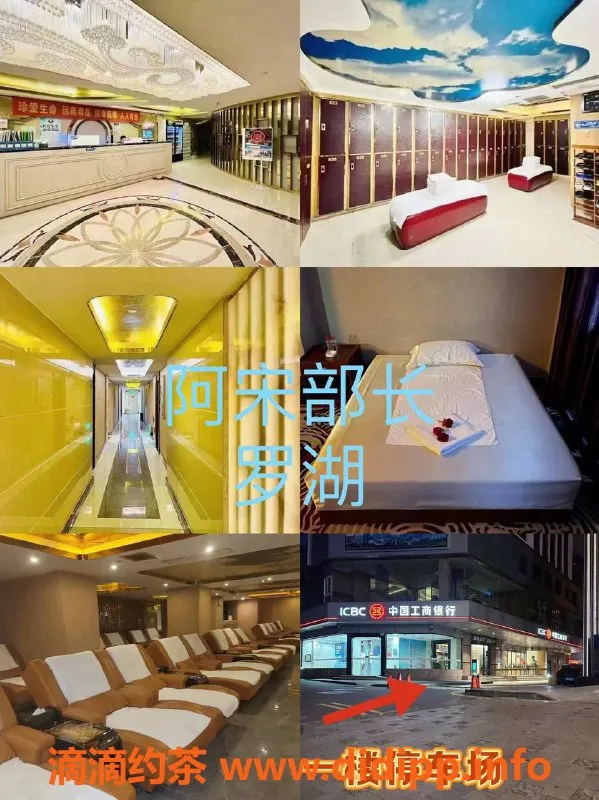 深圳楼凤-深圳高端水会，罗湖宝安全新体验等你来！