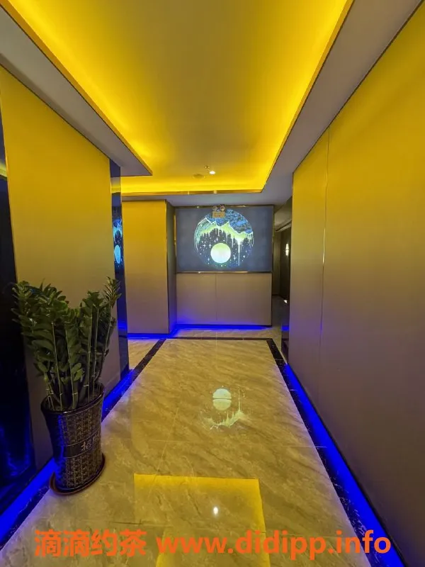 深圳楼凤-龙华新店开业！398元多项服务等你来