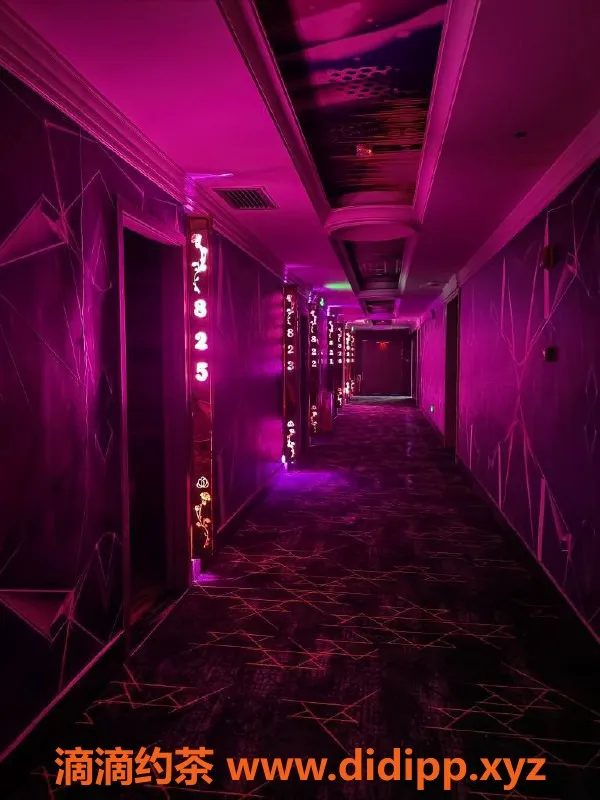 广州spa会所资源信息,嘉禾新市24小时高档会所，性感美女等你来撩