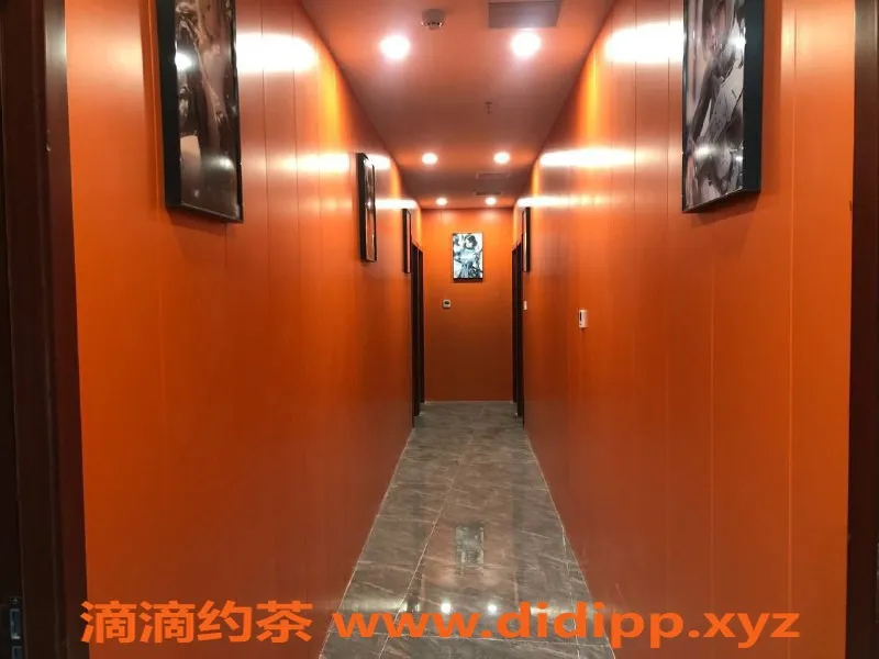 苏州女仆店-苏州熊猫乐园❤️热恋体验399/小时