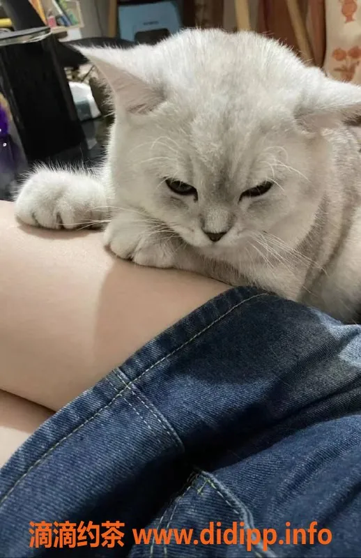 深圳楼凤-深圳龙华嫩妹老师，2000元体验服务