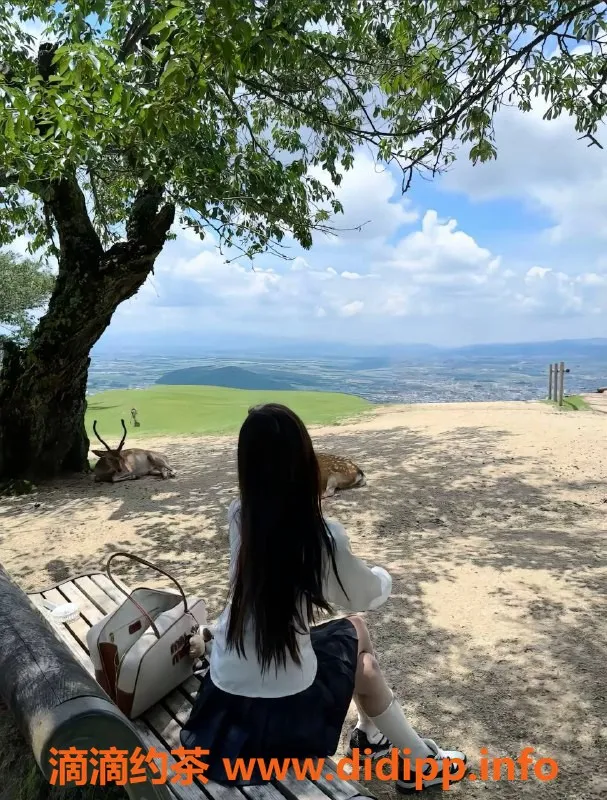 深圳楼凤-光明琪琪，160cm，88斤，20岁小仙女提供多种服务