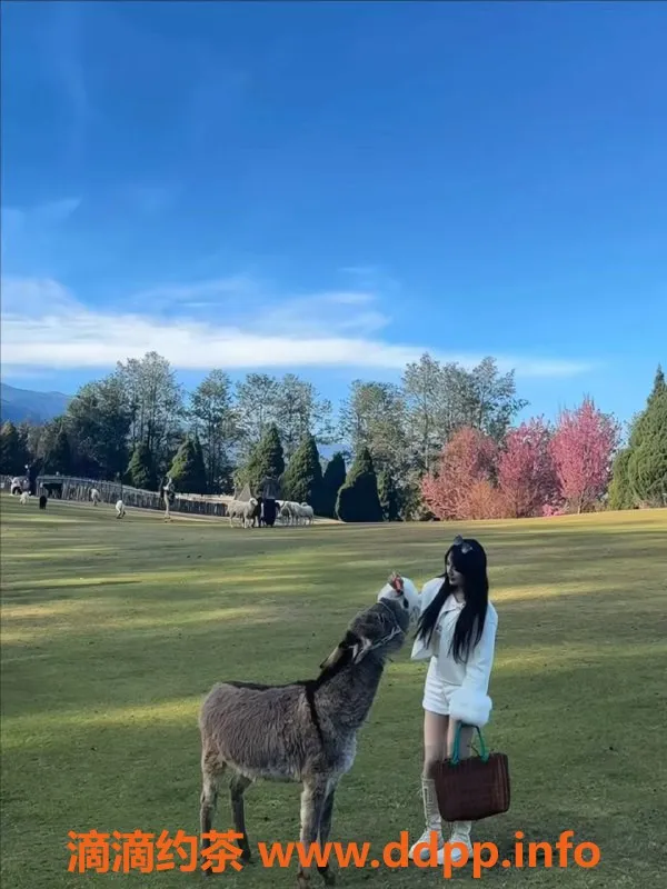 杭州外围-滨江区小老虎，21岁美少女，D罩杯，1200元享69互舔