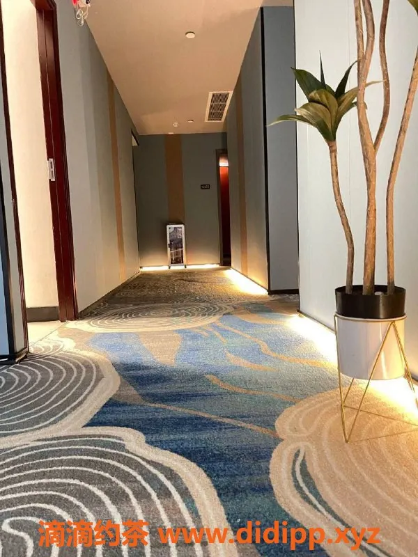 广州spa会所-天河高颜值嫩妹LZ会所，预约仅需520