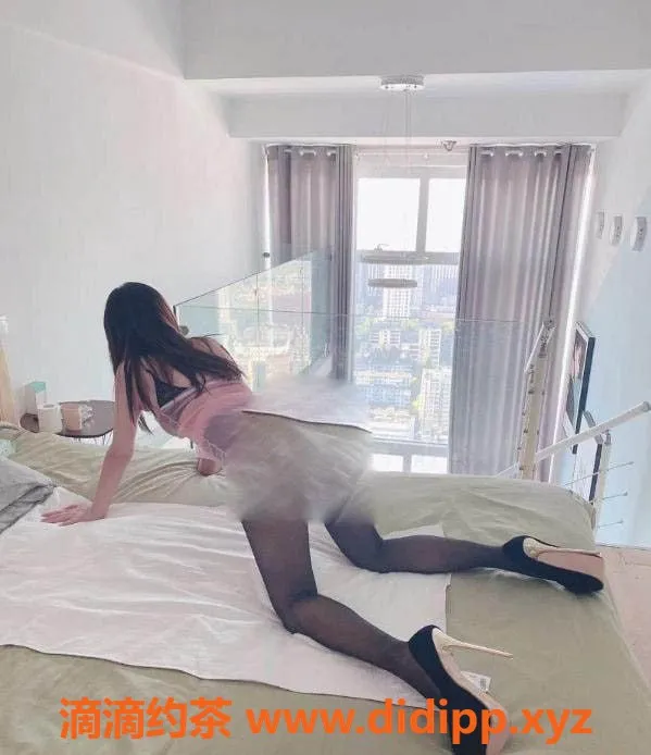 上海-上海徐汇区熊T服务，600元体验