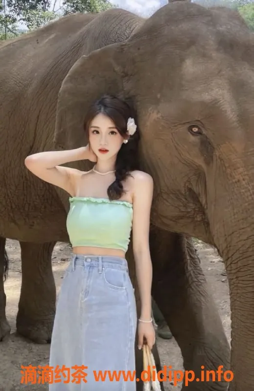 广州楼凤-佛山御姐英子，颜值在线，课费8P