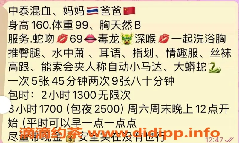 厦门楼凤-思明小野猫，160高99体，独特服务等你来体验