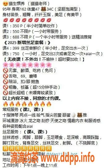 广州楼凤-白云区猫生惯养，茶费350，私聊服务等你来体验