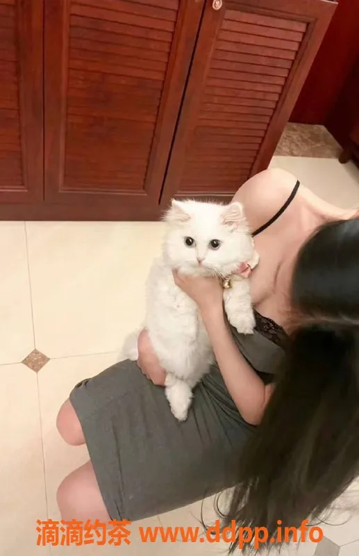 深圳楼凤资源信息,深圳小甜，162cm，44kg，千元档服务