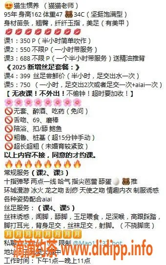 广州楼凤-白云猫猫御姐，火辣大胸，4P特别体验