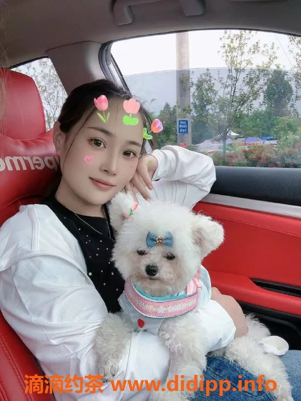 西安楼凤-雁塔楠岚，上乘服务与颜值并存