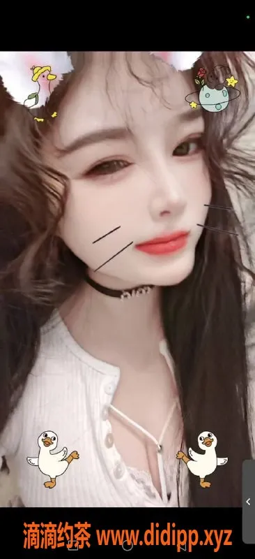 成都楼凤资源信息,成都妍babe，22岁微胖女孩，服务简单大胸