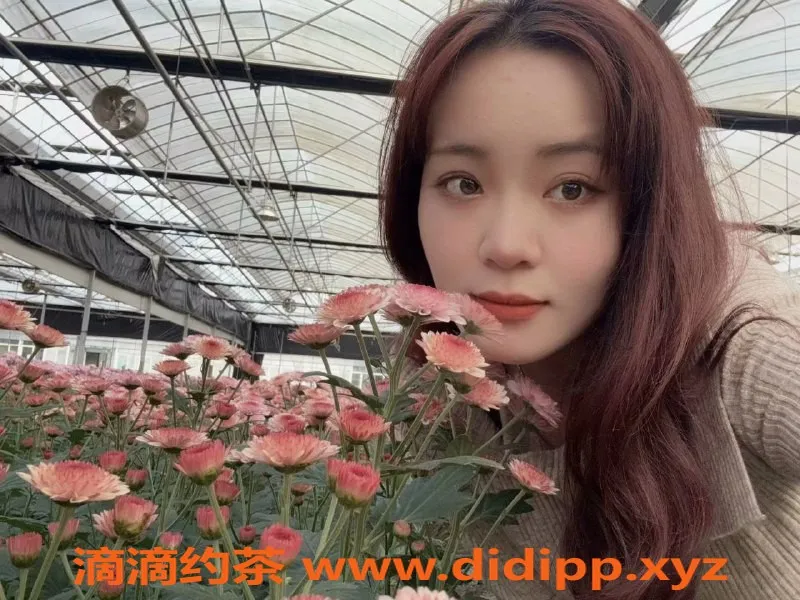 深圳上门服务资源信息,龙华22岁甜甜，身高163，500元上门服务